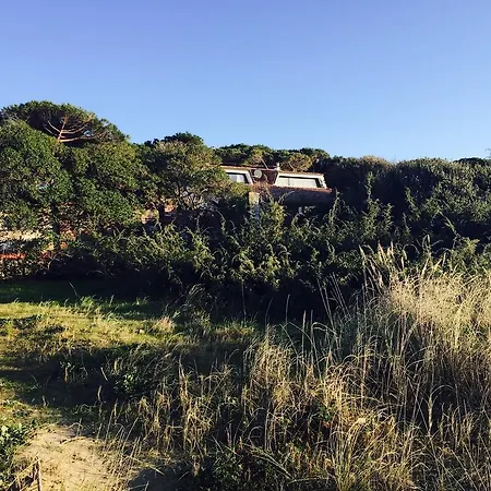 Giannella Nyaraló *