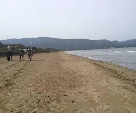 펜션 Giannella 오르베텔로
